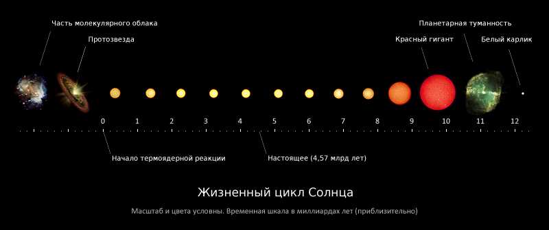 Основные этапы жизненного цикла звезд в зависимости от их классового разделения