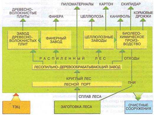 Правовые аспекты деятельности лесопромышленного комплекса 9 класса Полярной Звезды