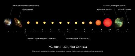 Бинарные системы звёзд