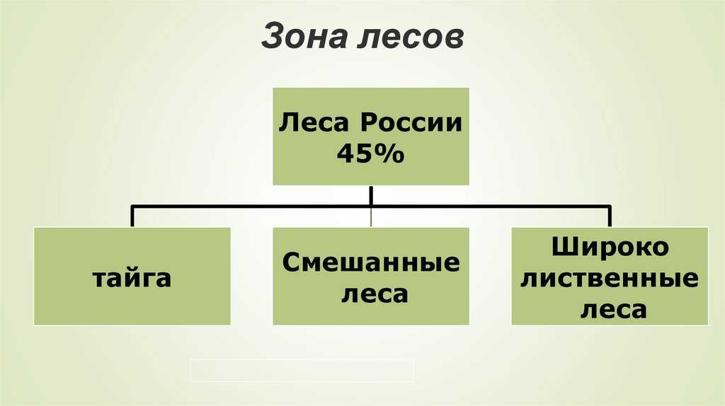 Биологическое разнообразие лесной зоны Полярной звезды