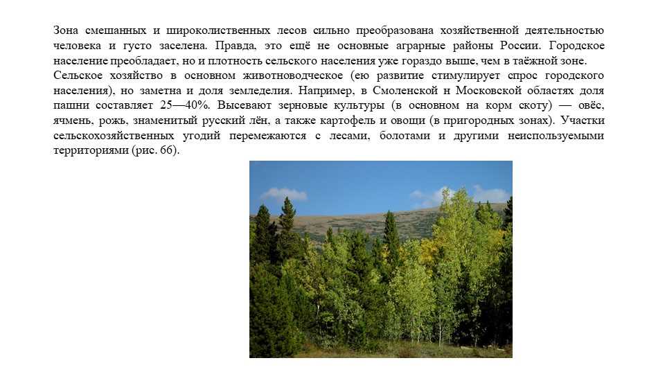 Лесные зоны восьмого класса на полярной звезде — их особенности и важность.