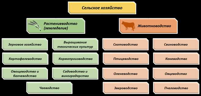 Разнообразие животноводства