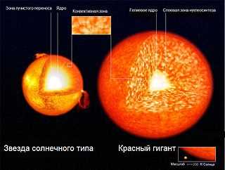 Виды белых карликов и их взаимодействие с газовыми гигантами