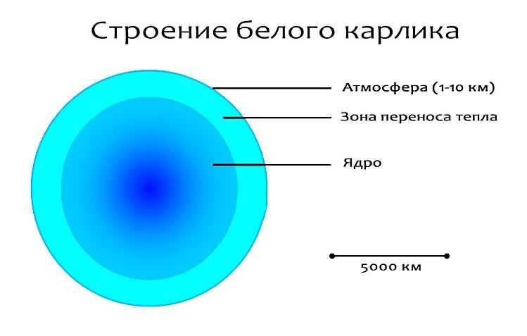 Температура и эволюционный процесс